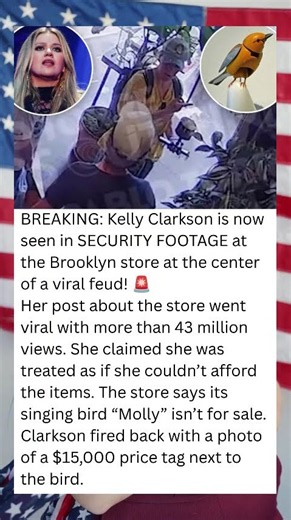 KELLY CLARKSON CAUGHT ON SECURITY FOOTAGE in Brooklyn Store Feud That Hit 43 MILLION Views! 😱