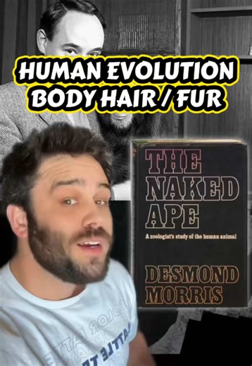 Human Evolution | What Happened to Our Body Hair? #evolution #animals #biology #LearnBiologyonTikTok #sciencetok