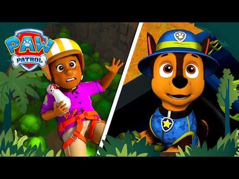 Mayor About to Fall! 🌴 Chase Jumps Into Action! | PAW Patrol | Compilation