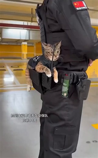 The Organization’s top staff member, recipient of the Outstanding Achievement Award. 😄 https://t.co/3A3Rx1Guj9