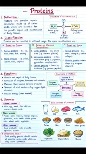 Proteins Definition, classification, functions & their sources