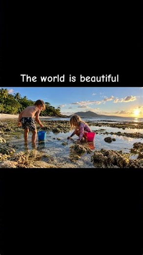 Aore Island Holidays | Treehouse & Beachfront Accommodation in Vanuatu
