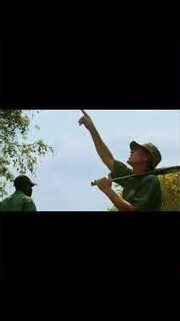 part-28 Carter's W.A.R. (Elephant Country) (Elephant Rescue)#wildlife