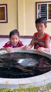 The lesson involves learning how to use a magnet to retrieve iron objects from a jar of water#shorts
