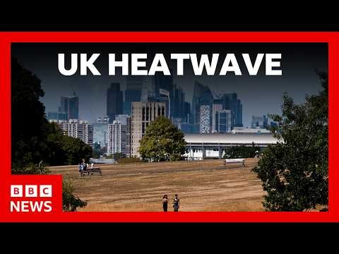 More weather records broken across UK as heat set to spike again | BBC News