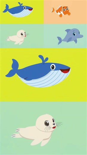 I'm a Baby Whale | Baby Shark Friends | Sing along | Little Fish tales | #littlefish