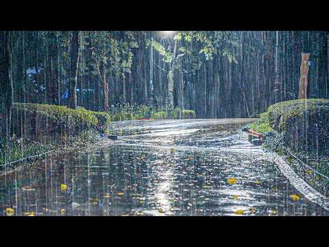 Rain Sounds for Sleeping All Night | Fall Asleep Fast, Anxiety Relief, White Noise ASMR