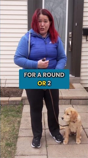 How To Keep Your Puppy Focused With Distractions