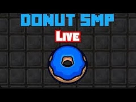 minecraft donut smp rating base live 150K per base ign skepticbro and making farms making bases and