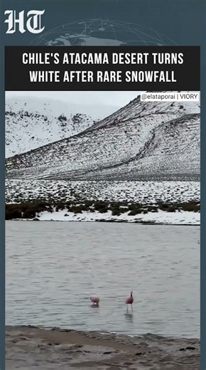 Chile's Atacama Desert Turns White After Rare Snowfall In The World's Driest Region | #shorts