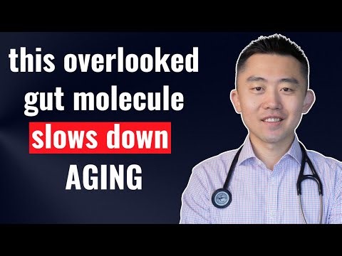 Butyrate: Protect Your Brain, Lower Blood Sugar and Fix Leaky Gut