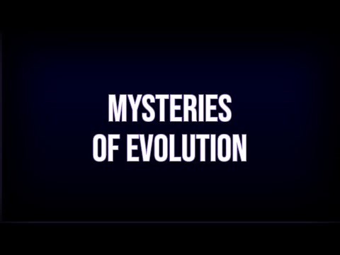 The Enigmatic Evolution: Secrets of Life's Greatest Mysteries