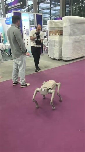 🐕 The future of robotics is walking on four legs — and it's already here.