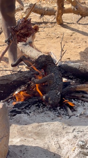 How the Hadzabe Prepare Their Traditional Meal 🌿🔥 “One Fire, One Meal, Centuries of Traditions
