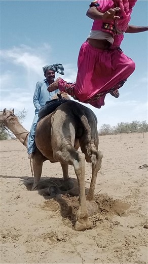 Shocking Moment! Camel Suddenly Stands Up & Girl Falls 😱 Unbelievable Scene