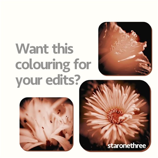 Colouring for Edits | Works on any software that has blending modes | 🍄‍🟫