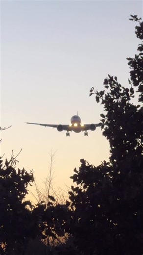 Lufthansa Cargo Boeing 777F, landing on runway 07L at its home base FRA ✈️ #boeing #b777 #plane #planespotting #boeinglovers | Pilotstories
