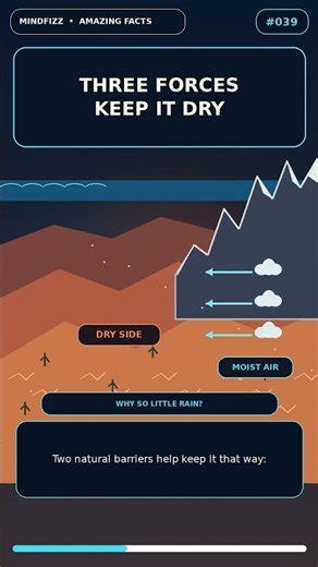 Why Is the ATACAMA Desert SO DRY?! 🏜️🤯 #shorts