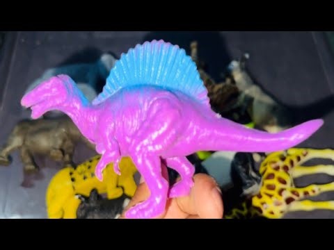 ASMR Animals Like Lion Elephant Giraffe Cow Donkey Fox Kangaroo Panda Etc ||