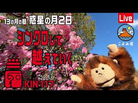【13・地球】魔術飛行に乗って越えていく✨惑星の月2日✨KIN117✨赤い宇宙の地球🌈✨🌏