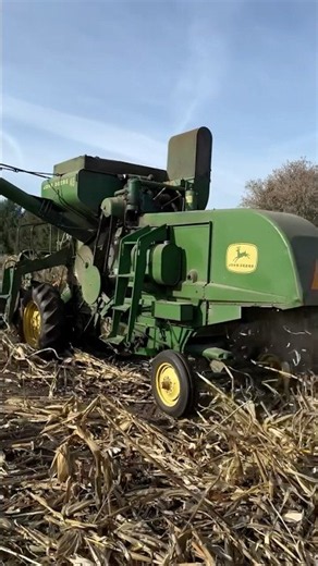 OLD SCHOOL JOHN DEERE STILL GETS THE JOB DONE! 😱🚜🌽 #farmlife #farming #tractor