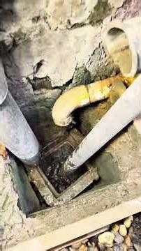 Damp Rising in Ground Floor Flat Explained | Leak Detection Investigation in N13 London