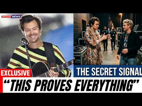Why Fans Think Harry Styles Still Sends Subtle Messages To His Former Bandmates