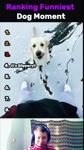 Ranking The FUNNIEST Dog Moments Ever! 😂🐕