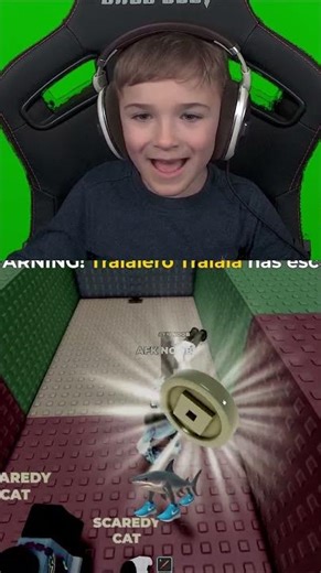 HIT YOU WITH A BAT..!