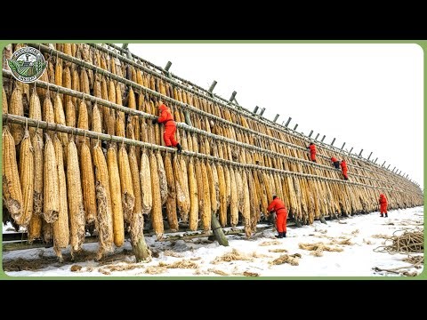 How 42 Million Tons of Waste Are Recycled Into Byproducts in Massive Factory Processing Lines