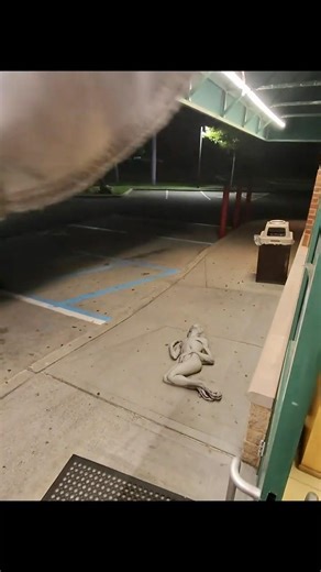 Alien prank 😭 #viral #funny