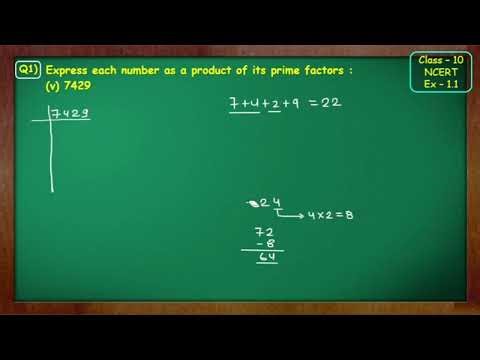 Class 10 Maths Chapter 1 Real Numbers | Exercise 1.1 & 1.2 Full Solution 🔥 | Board 2027