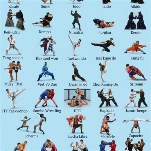Taekwondo Basics: Key Moves and Training Tips
