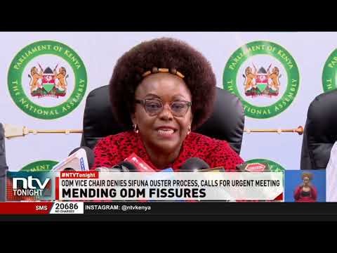 ODM vice chairperson Otiende Amollo insists there's no internal process to remove Edwin Sifuna