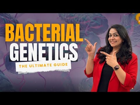 Bacterial Genetics: The Ultimate Guide | Transformation, Conjugation & Transduction