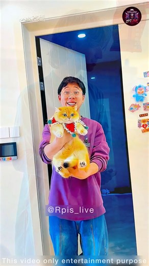 Cat 😂 #funny #chinesedrama #funny youtubeshorts #cdrama #doonakdrama