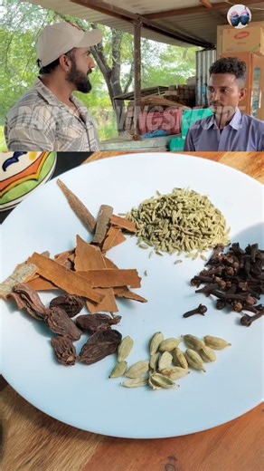 Chai masala recipe by Fitness coach Nitesh soni ji ☕🌿💛 #niteshsoni #sattuking #chaimasala #homemade