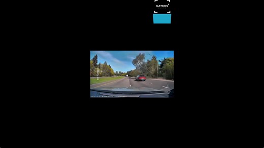 Tree collapses onto road leading to vehicle crash