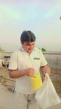 Necessary things for Goats #beautifullgoats #topbloodline #heavygoats #beetalgoat #farming