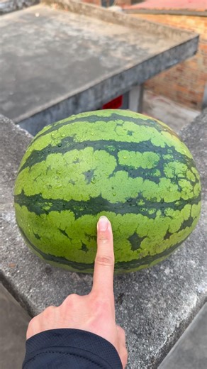 Experiment: Will a watermelon explode if it rolls down a tall building? 🍉💥#shorts