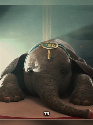 #creatorsearchinsights #recapvideos #dumbo #foryou #tiktokmyanmar