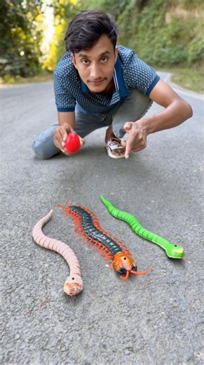 Amr Remote Control Kankhajura And 2 RC Snake #rcsnake