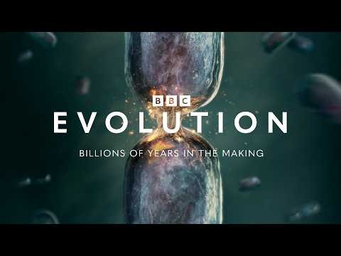 Evolution: Official Trailer | BBC Earth Science