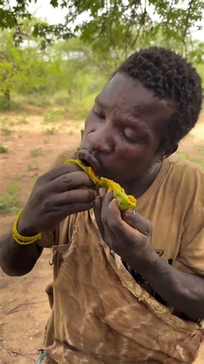 Hadzabe bushmen try new kind of fruit first time in the bush