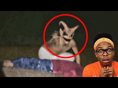 30 Scary Videos NOT For Bedtime