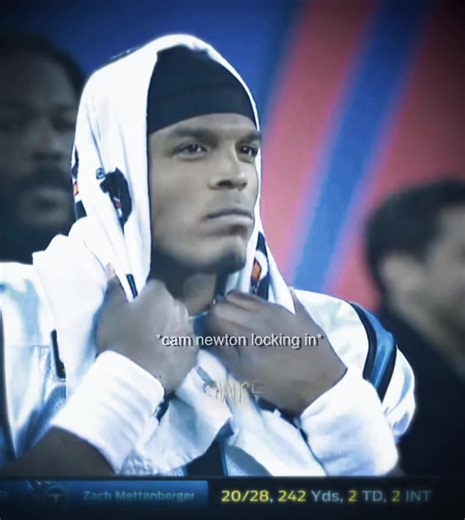 Cam Newton Highlights: Carolina Panthers Star Performance