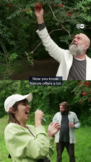 Urban foraging - Food on the roadside 🫐 | DW Documentary