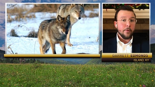 The U.S. House has passed the Pet and Livestock Protection Act, a bill aimed at delisting gray wolves in the lower 48 states and protecting cattle producers from wolf depredation. Garrett Edmonds, the Director of Government Affairs for NCBA and the Public Lands Council, spoke with RFD-TV's own Suzanne Alexander about what this means for producers and what the timeline looks like moving forward. | RFD-TV