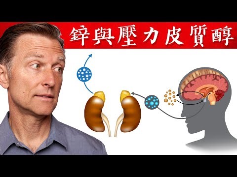 發炎消炎,吃多少鋅?鋅降壓力荷爾蒙,鋅體內儲存多久？鋅太多有毒?柏格醫生 Dr Berg