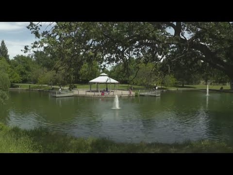 Four recovering after Howe Park shooting in Sacramento County